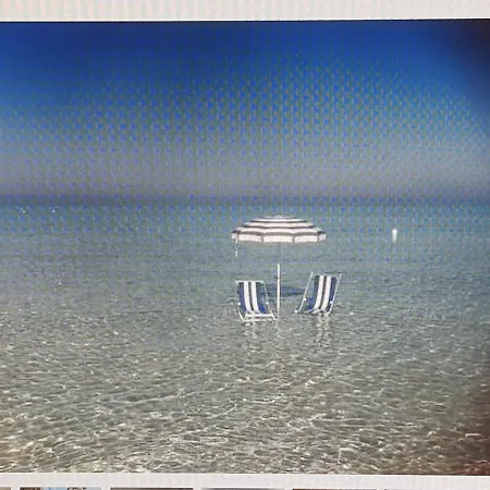 Zia Meme タヴィアーノ